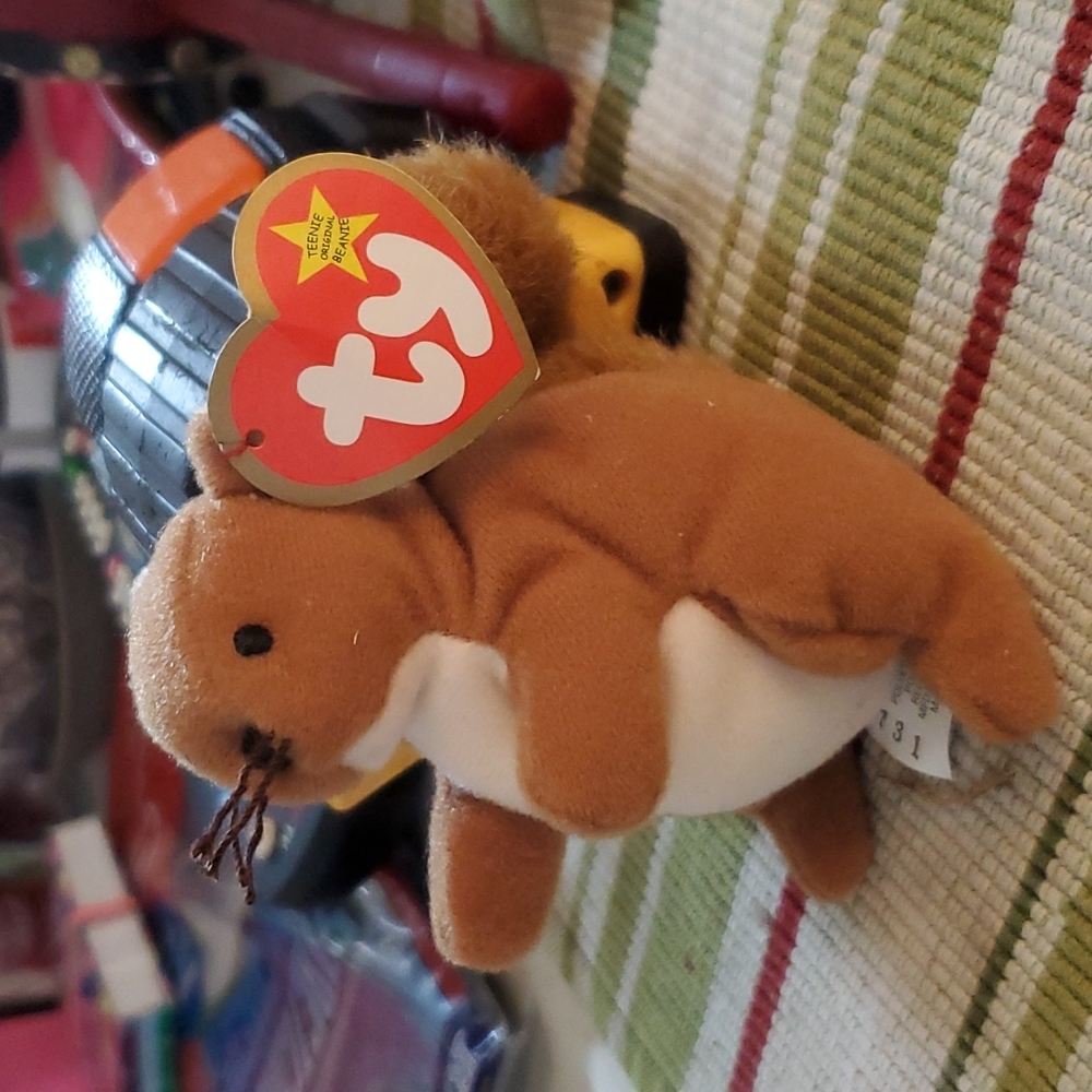 TY Teenie Beanie Baby Nuts The Squirrel 5"